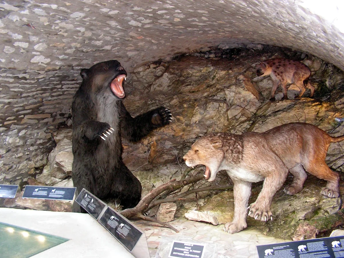 Model niedźwiedzia jaskiniowego na wystawie pod słońcem pod niebem.