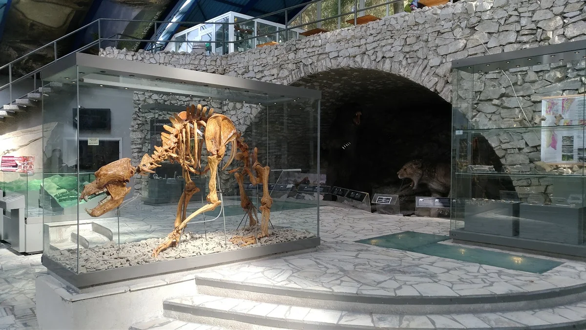 Szkielet niedźwiedzia jaskiniowego w muzeum pod słońcem pod niebem.