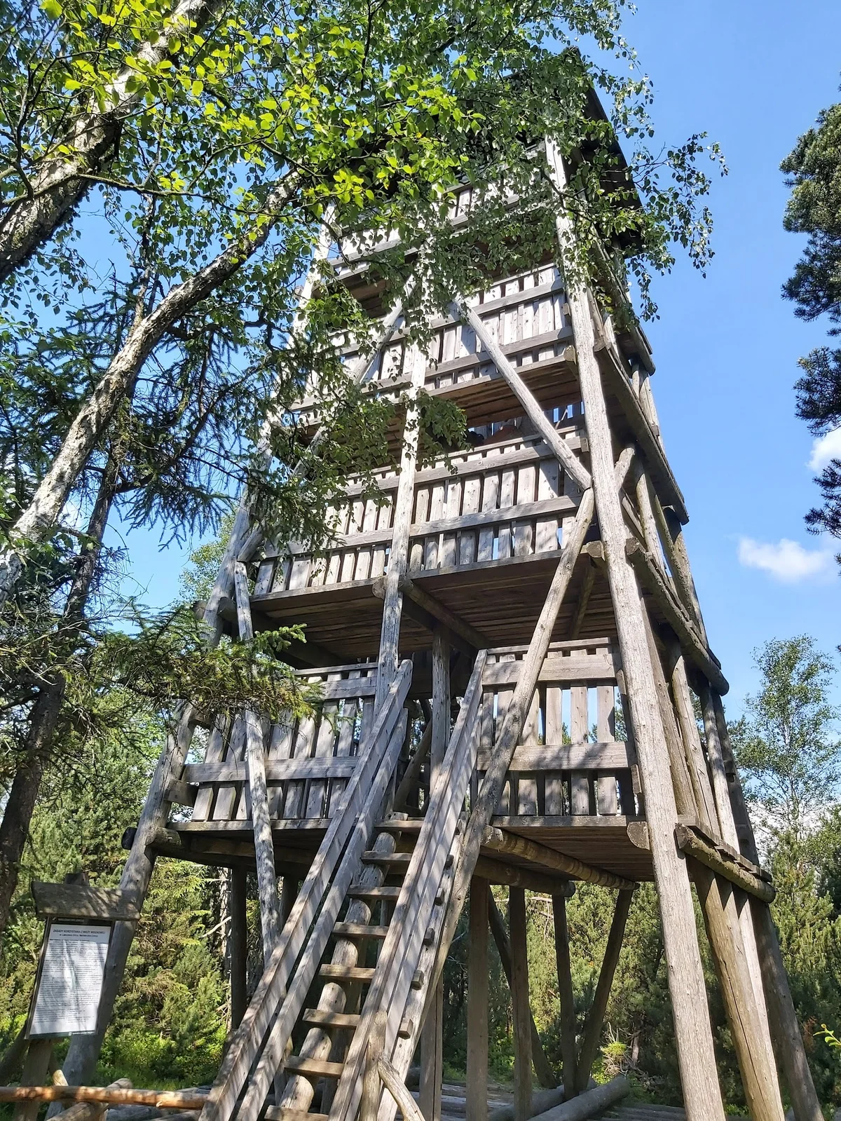 Drewniana wieża widokowa na skraju lasu pod niebem pod słońcem o świcie.