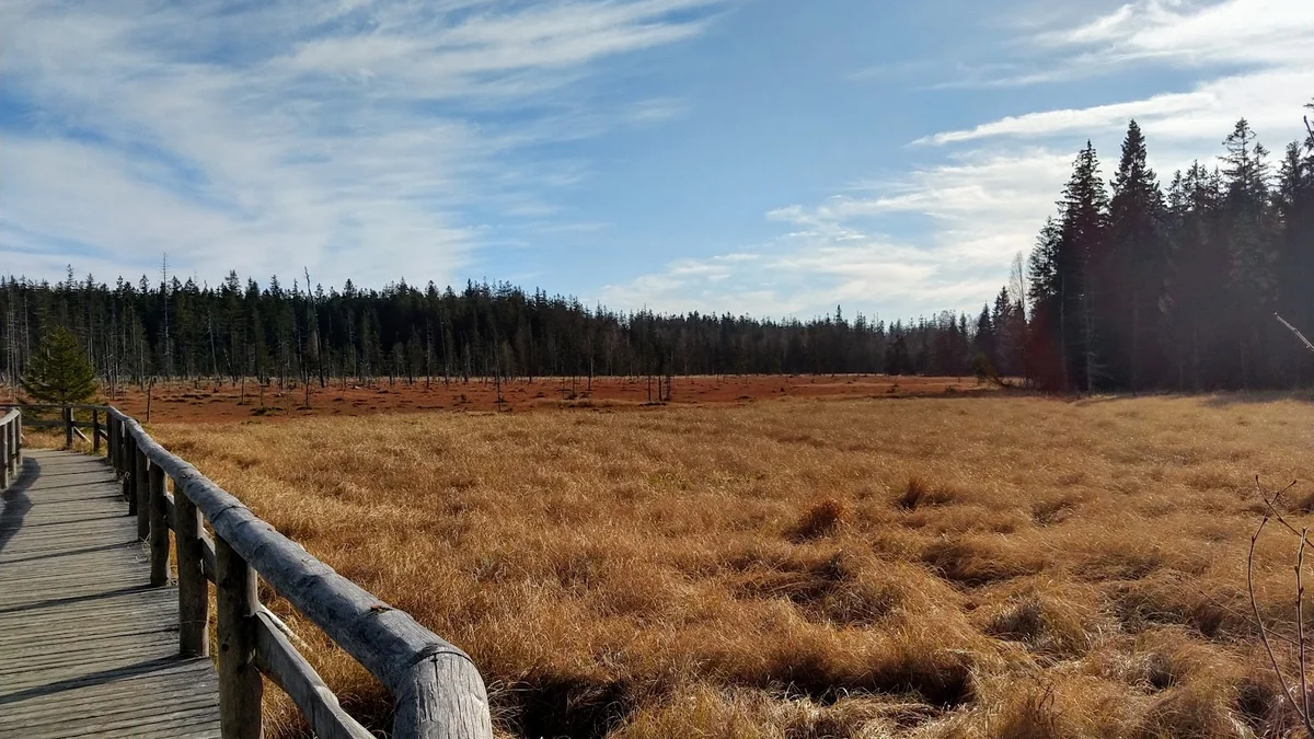 Ścieżka przez łąkę w górzystym terenie pod niebem pod słońcem o świcie.