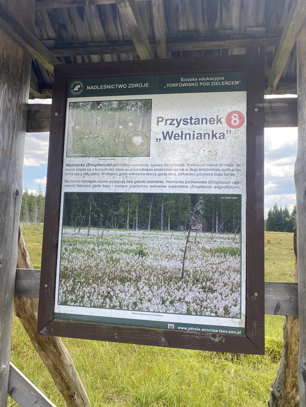 Tablica edukacyjna przy ścieżce w rezerwacie pod niebem o świcie.