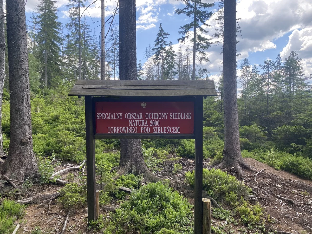 Znak informacyjny przy szlaku w lesie pod niebem pod słońcem o świcie.