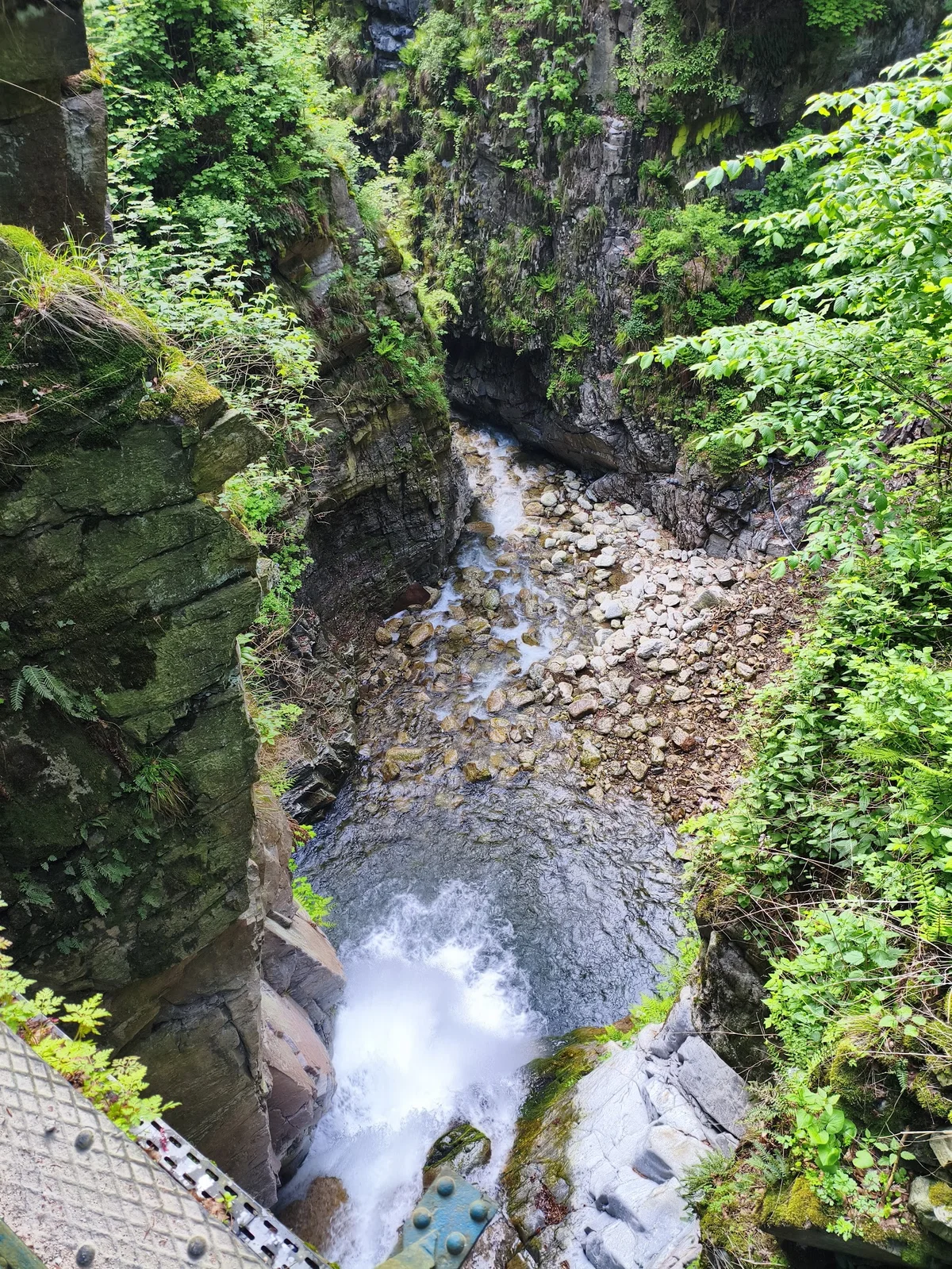 Bystry nastrojowy potok górski płynący przez las w słońcu.