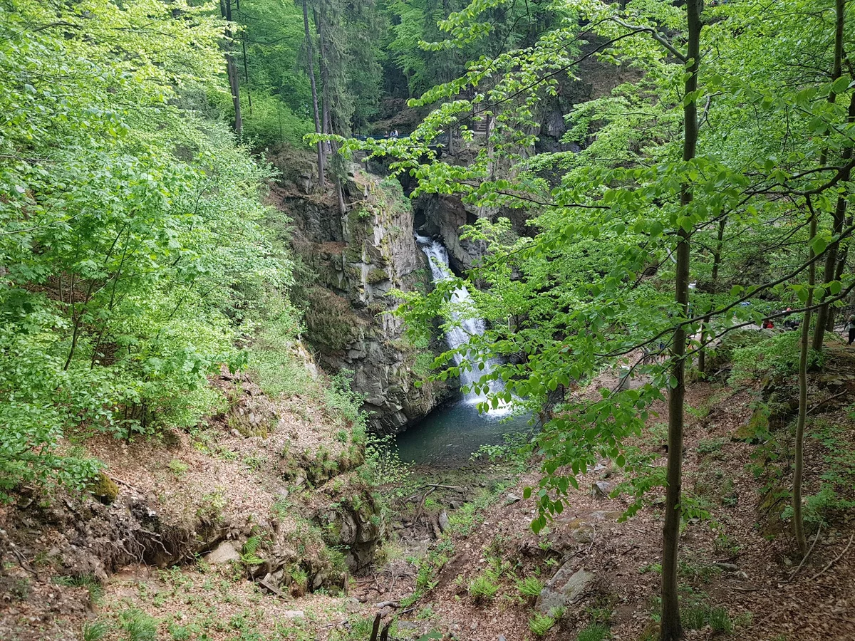 Fragment wodospadu wśród mchu letnią porą.