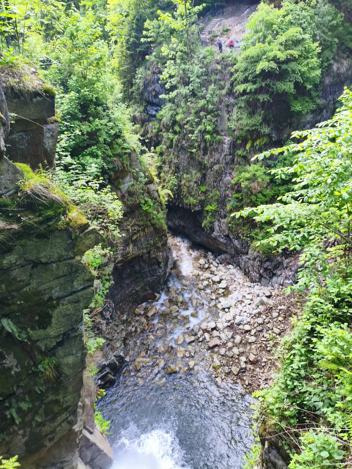Widok z góry na potok płynący w wąwozie letem.