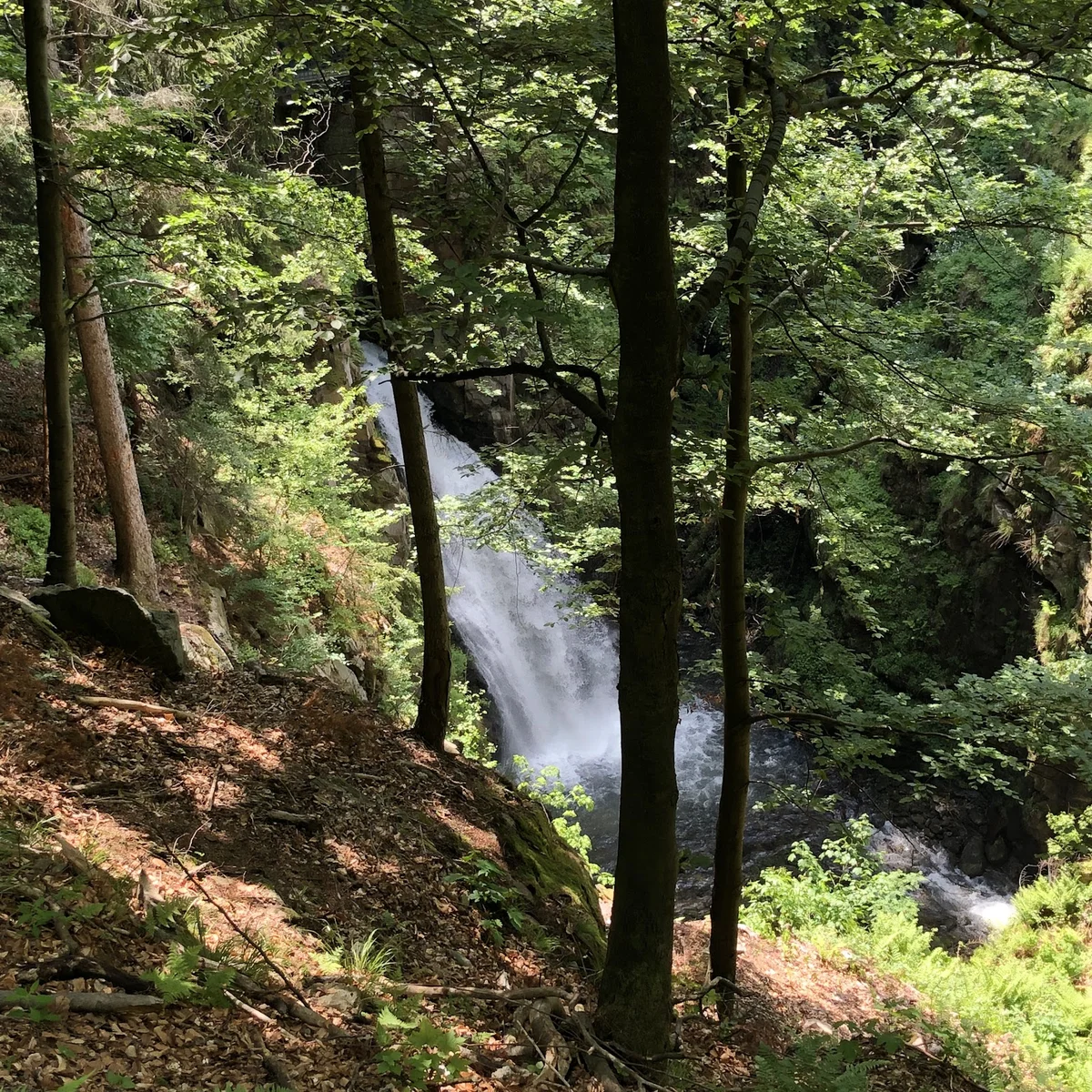 Wąski wodospad w cieniu drzew w słońcu.